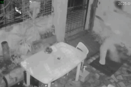 Troisième fois en moins de 24 heures !